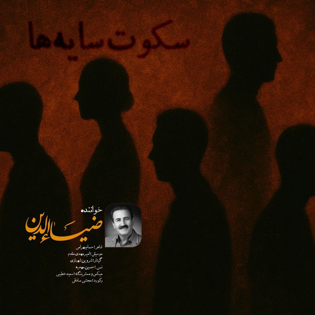 ضیاءالدین - سکوت سایه ها